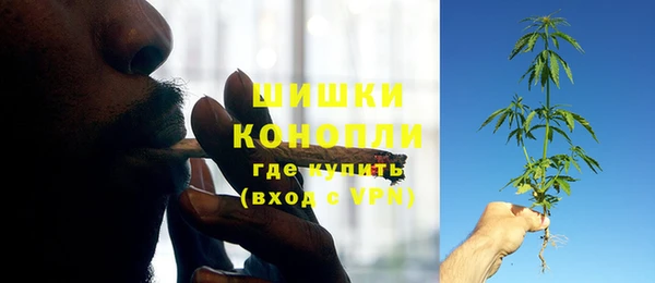 крисы Сосновый Бор