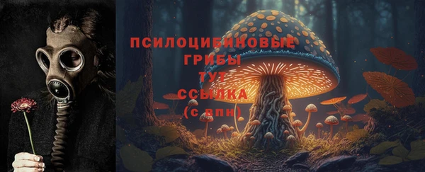 а пвп мука Беломорск