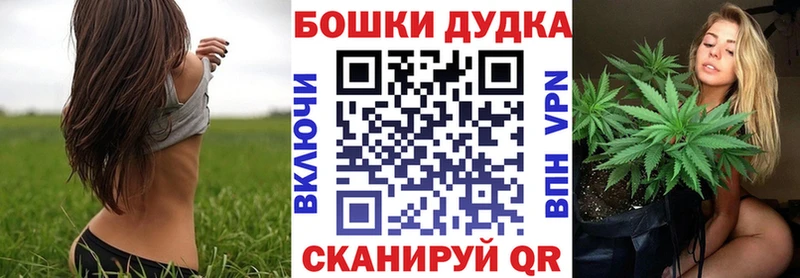 Канабис планчик  закладка  Курильск 